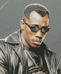 Wesley Snipes Blade Actor Diamond Painting