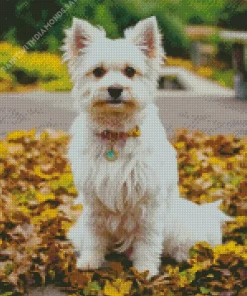 Westy Dog In Autumn Leaves Diamond Painting