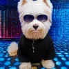 Westy Puppy Wearing Sunglasses Diamond Painting