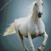 Whit Horse Galloping Art Diamond Painting