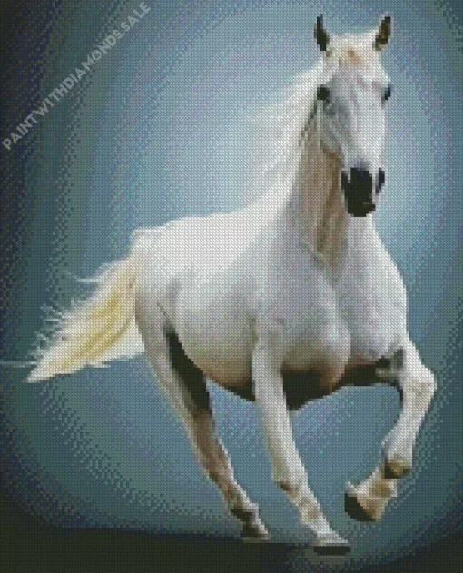 Whit Horse Galloping Art Diamond Painting