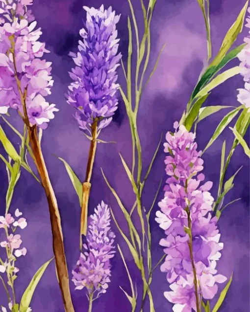 Wisteria Plants Diamond Painting