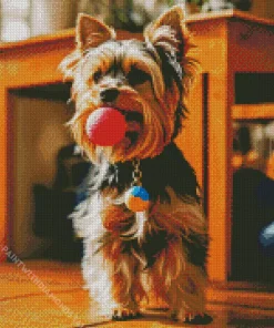 Yorkshire Terrier Playing With A Ball Diamond Painting