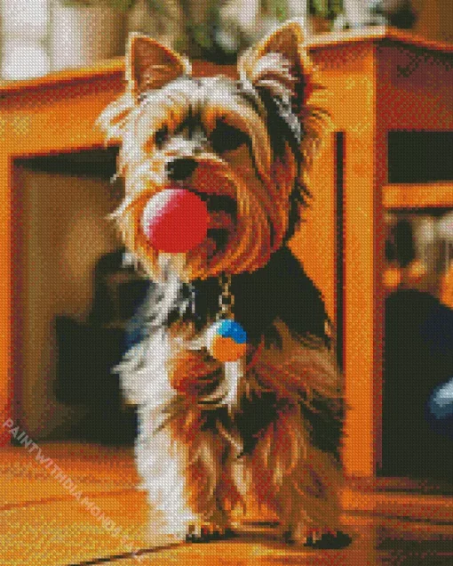 Yorkshire Terrier Playing With A Ball Diamond Painting