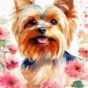 Yorkshire Terrier With Pink Flowers Diamond Painting