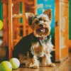 Yorkshire Terrier With Tennis Balls Diamond Painting