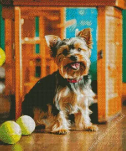 Yorkshire Terrier With Tennis Balls Diamond Painting