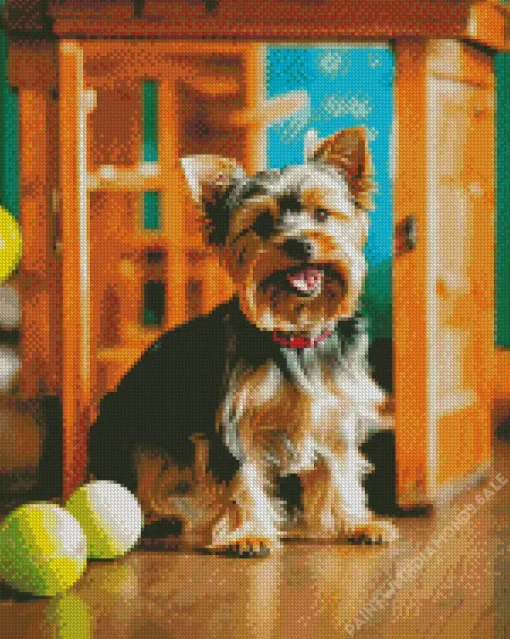 Yorkshire Terrier With Tennis Balls Diamond Painting