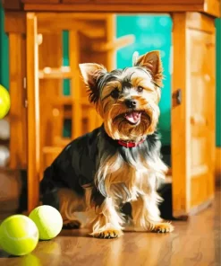 Yorkshire Terrier With Tennis Balls Diamond Painting