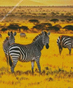 Zebras Diamond Painting