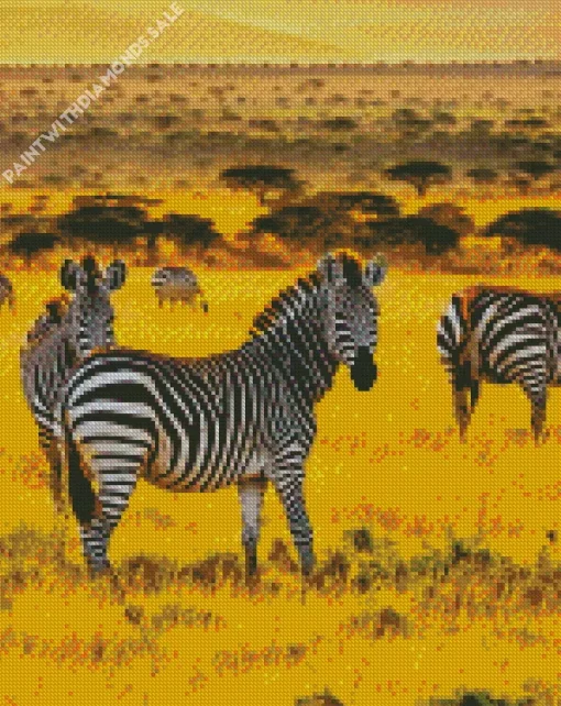 Zebras Diamond Painting