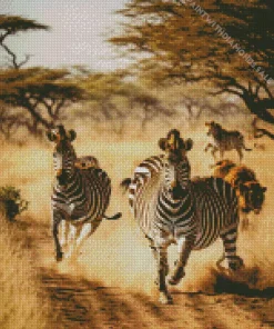 Zebras Running Diamond Painting