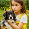 Adorable Border Collie With A Girl Diamond Painting