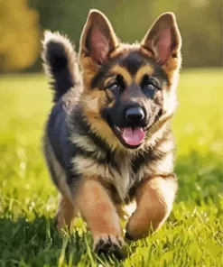 Adorable German Shepherd Puppy Diamond Painting