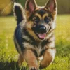 Adorable German Shepherd Puppy Diamond Painting