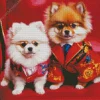 Adorable Pomeranians Couple Diamond Painting