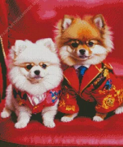 Adorable Pomeranians Couple Diamond Painting