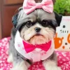 Adorable Shih Tzu Diamond Painting