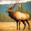 Aesthetic Elk Animal Diamond Painting