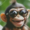 Baby Monkey With Glasses Diamond Painting