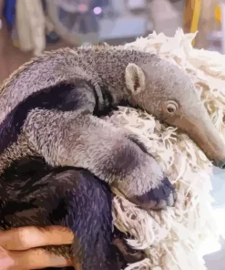 Baby Giant Anteater Diamond Painting