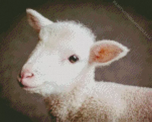 Baby Lamb Face Diamond Painting