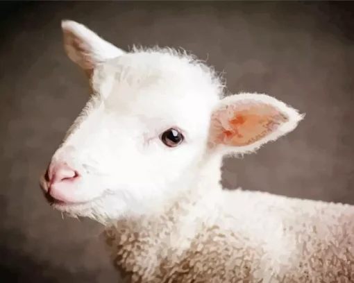 Baby Lamb Face Diamond Painting