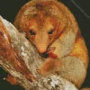 Baby Silky Anteaters Diamond Painting