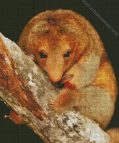 Baby Silky Anteaters Diamond Painting