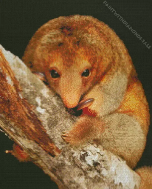 Baby Silky Anteaters Diamond Painting