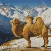 Bactrian Camel Diamond Painting