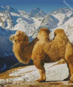 Bactrian Camel Diamond Painting