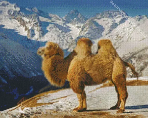 Bactrian Camel Diamond Painting