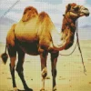 Bactrian Camel Art Diamond Painting