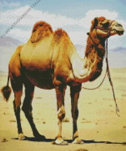 Bactrian Camel Art Diamond Painting