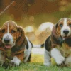 Basset Hound Puppies Diamond Painting