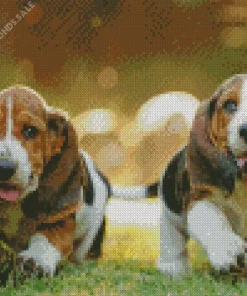 Basset Hound Puppies Diamond Painting