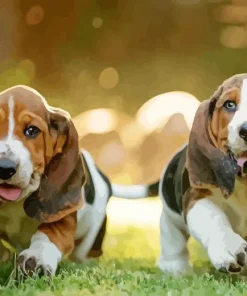 Basset Hound Puppies Diamond Painting