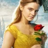 Belle With Red Rose Diamond Painting