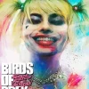 Birds Of Prey Diamond Painting