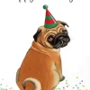 Birthday Pug Poster Diamond Painting