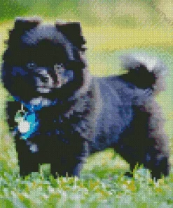 Black Pomeranian Diamond Painting