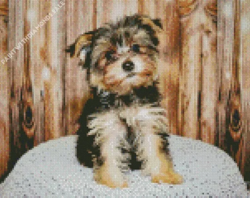 Black And Tan Morkie Dog Diamond Painting