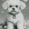 Black And White Bichon Frise Diamond Painting