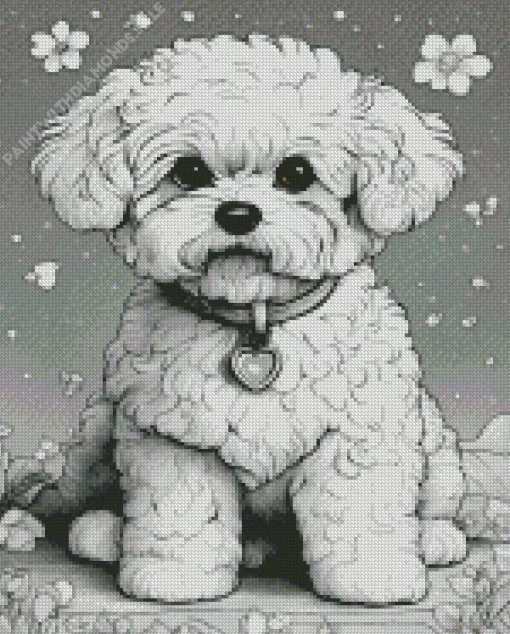 Black And White Bichon Frise Diamond Painting