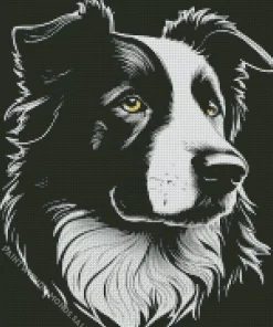 Black And White Border Collie Diamond Painting