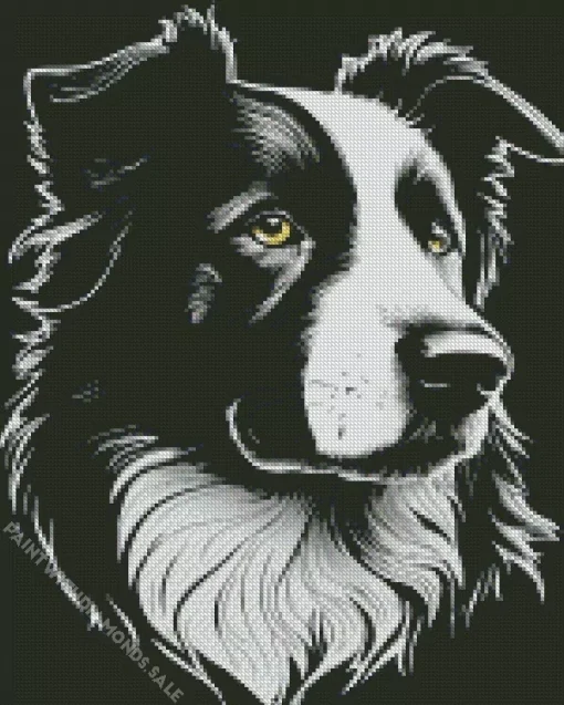 Black And White Border Collie Diamond Painting