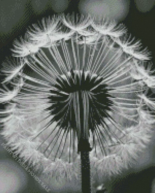 Black And White Dandelion Diamond Painting