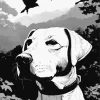 Black And White Labrador Diamond Painting