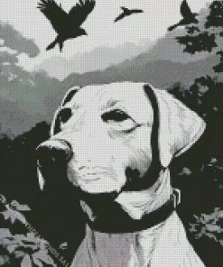 Black And White Labrador Diamond Painting